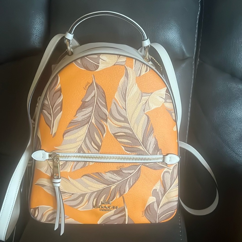 Coach bag